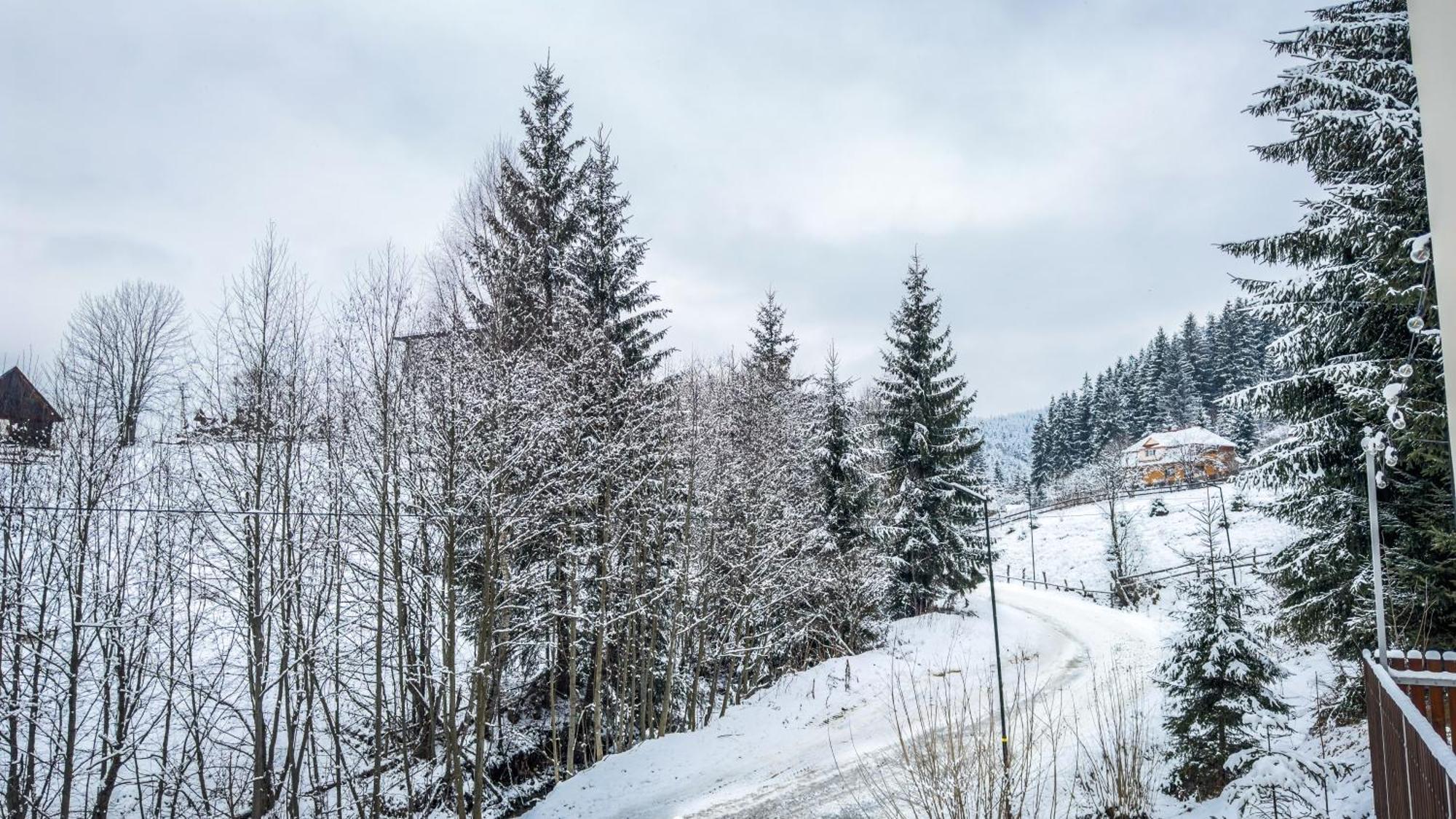 Lion Bukovel Quarto foto